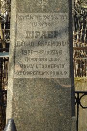 Шраер Давид Абрамович, Москва, Востряковское кладбище